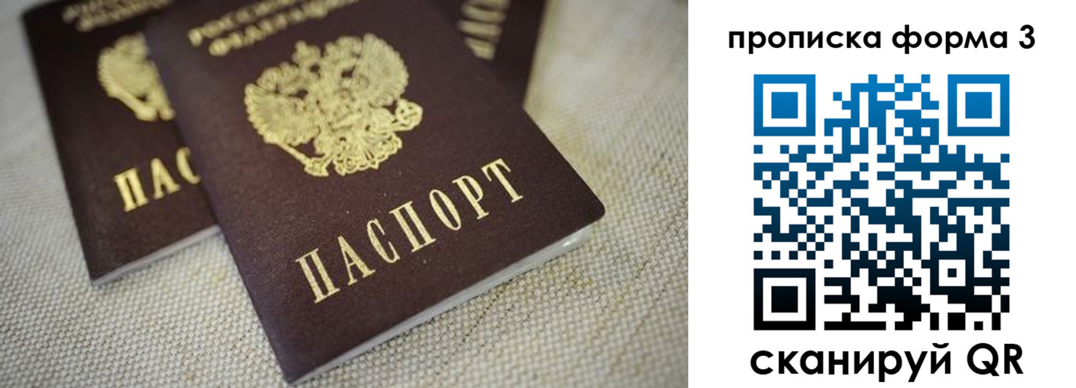 прописка поиск в Каменке